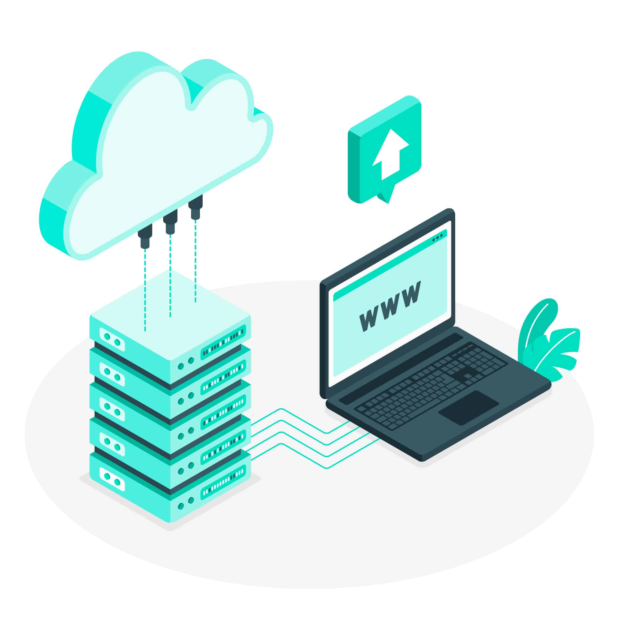 Importance of Web Hosting Services of 2024 for Businesses