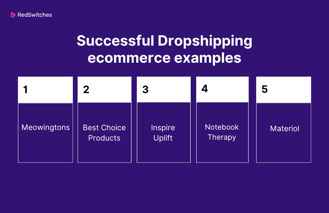 Successful Dropshipping ecommerce examples