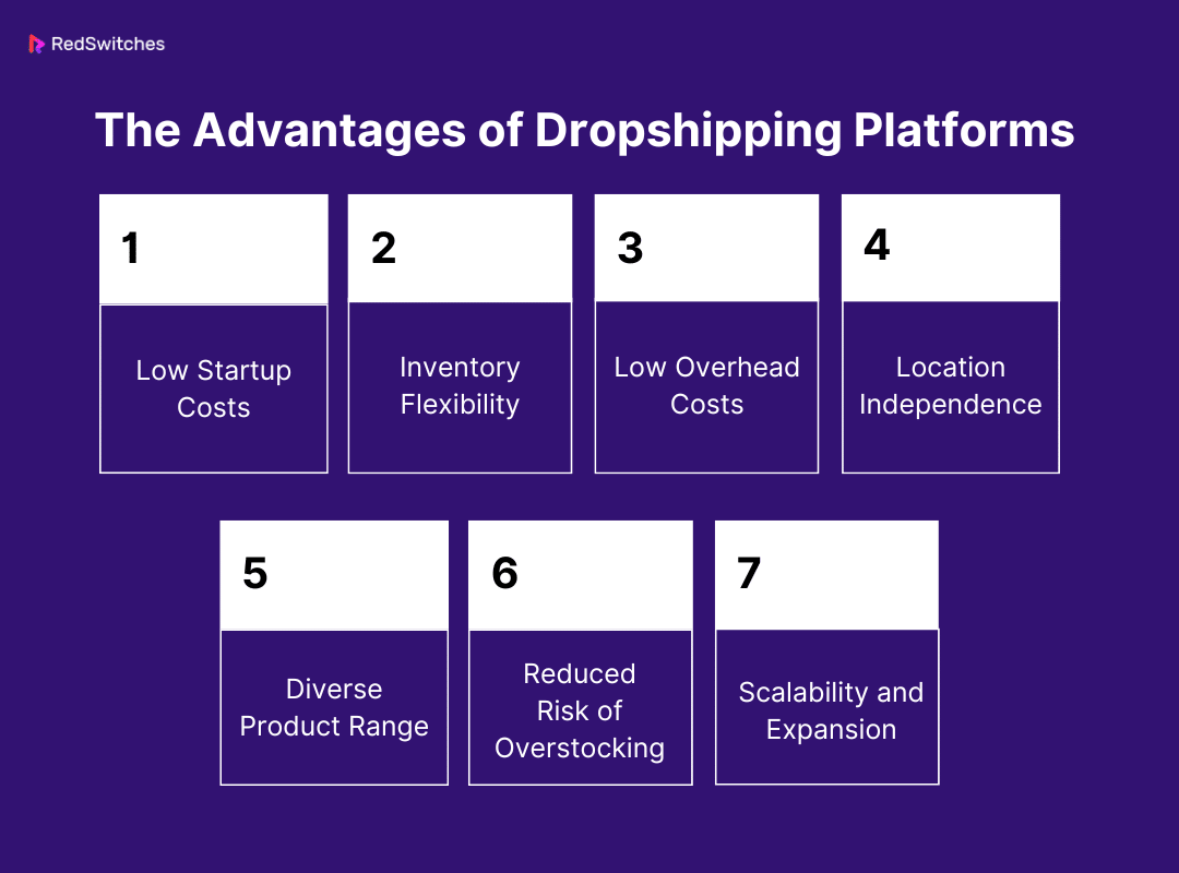The Advantages of Dropshipping Websites