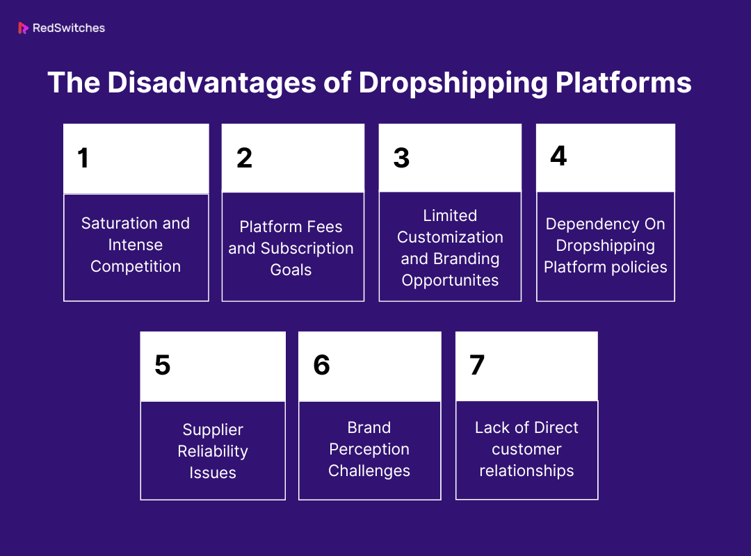 The Disadvantages of Dropshipping Websites