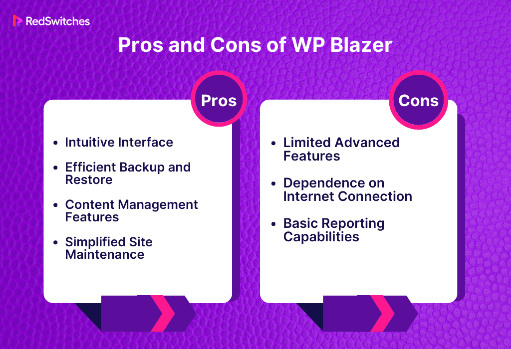 WP Blazer Pros and Cons