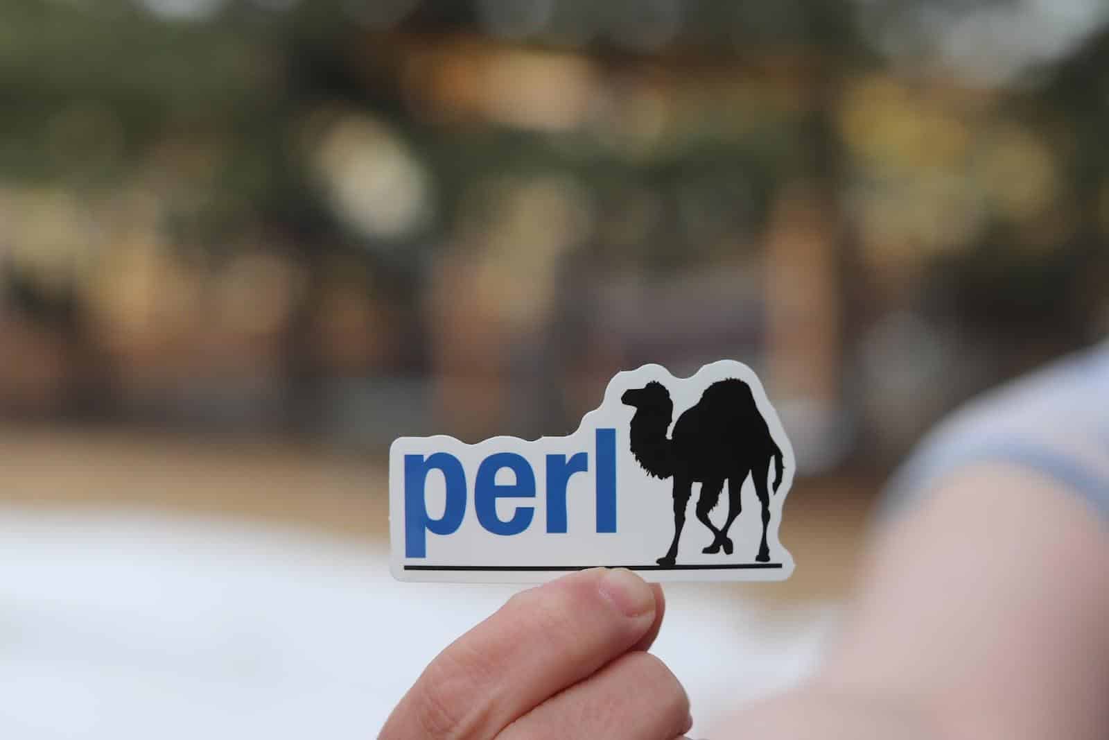 What Is Perl