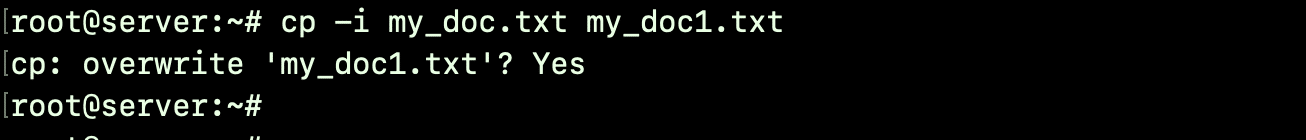 cp command my doc text
