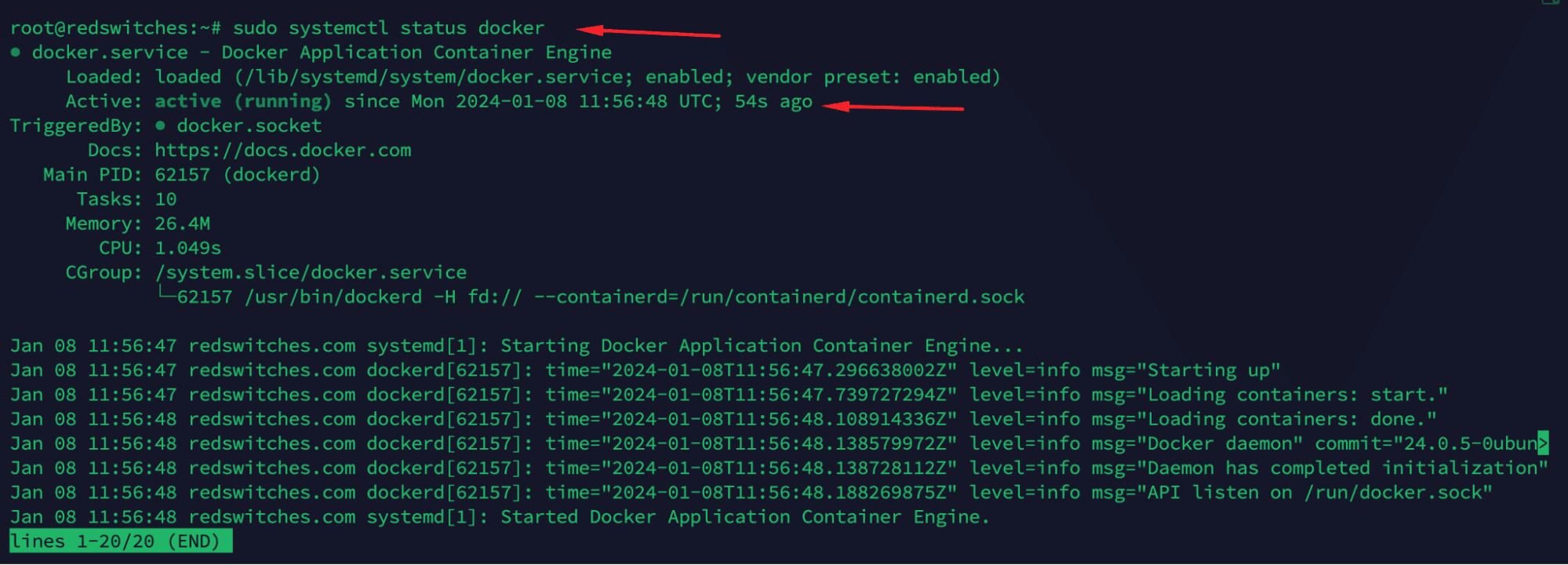 docker status