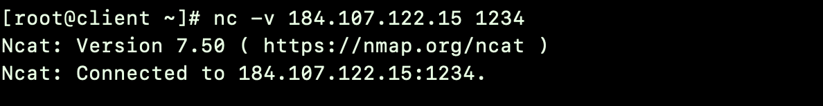 # nc -v System IP 1234 nc command