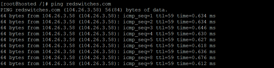 ping command