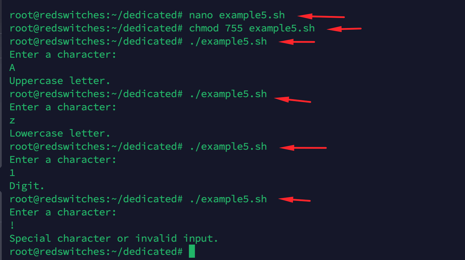 Example 5 Check Input Character Case and Type