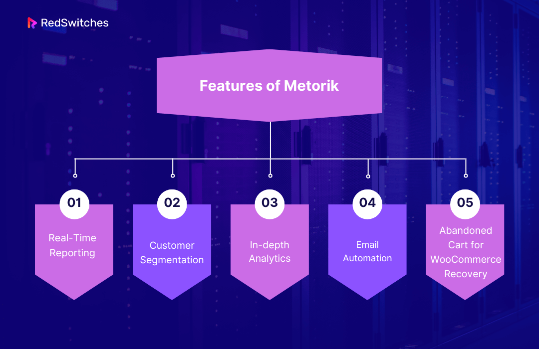 Features of Metorik