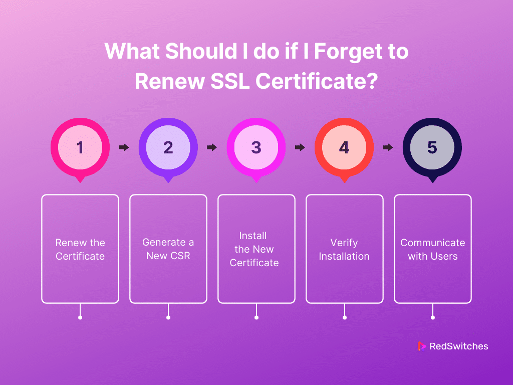 What Should I do if I Forget to Renew SSL Certificate