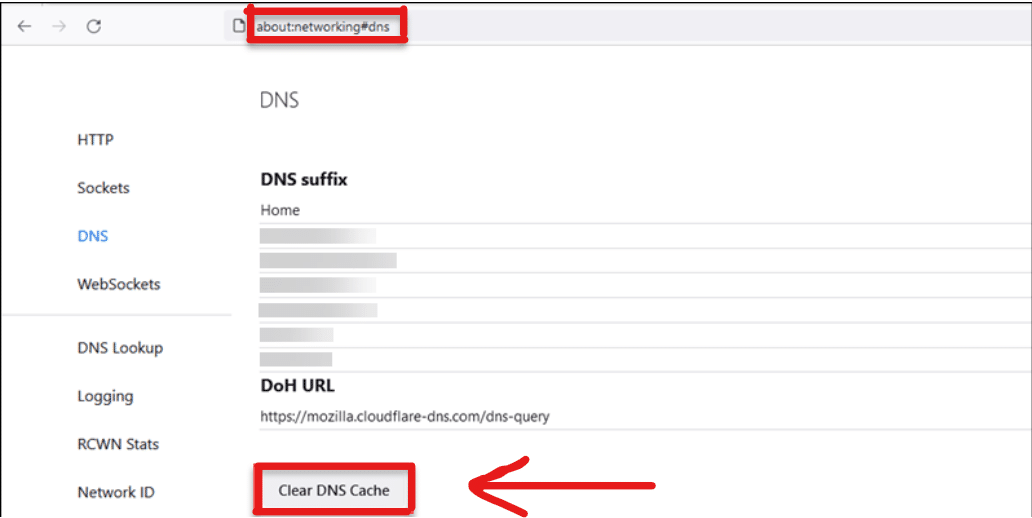 click Clear DNS Cache