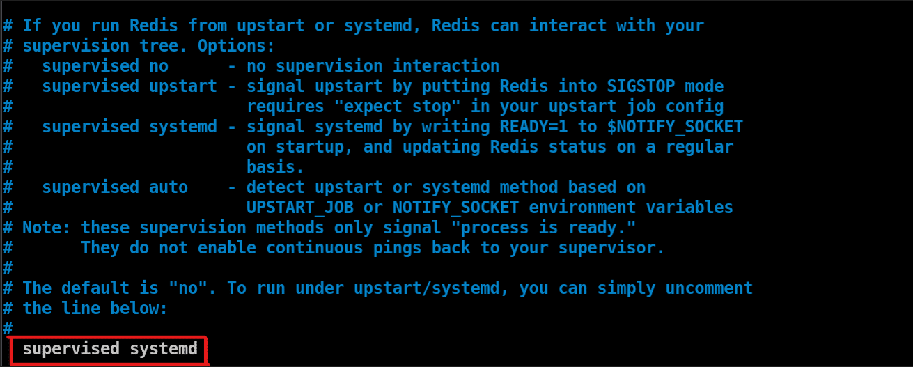 supervised systemd