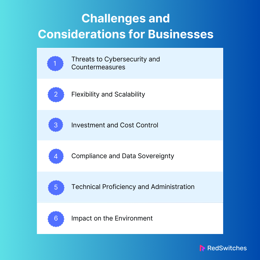Challenges and Considerations for Businesses