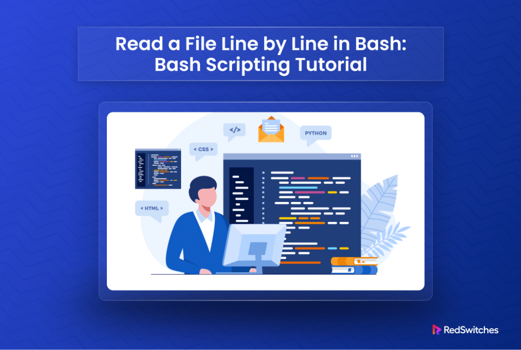 bash read file line by line