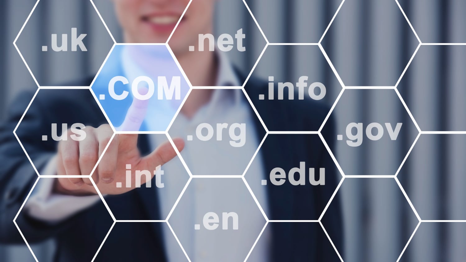 IP Addresses and the Domain Name System (DNS) 