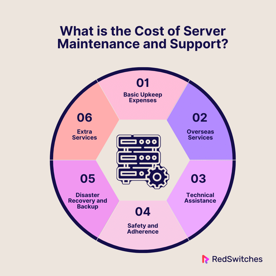 What is the Cost of Server Maintenance and Support