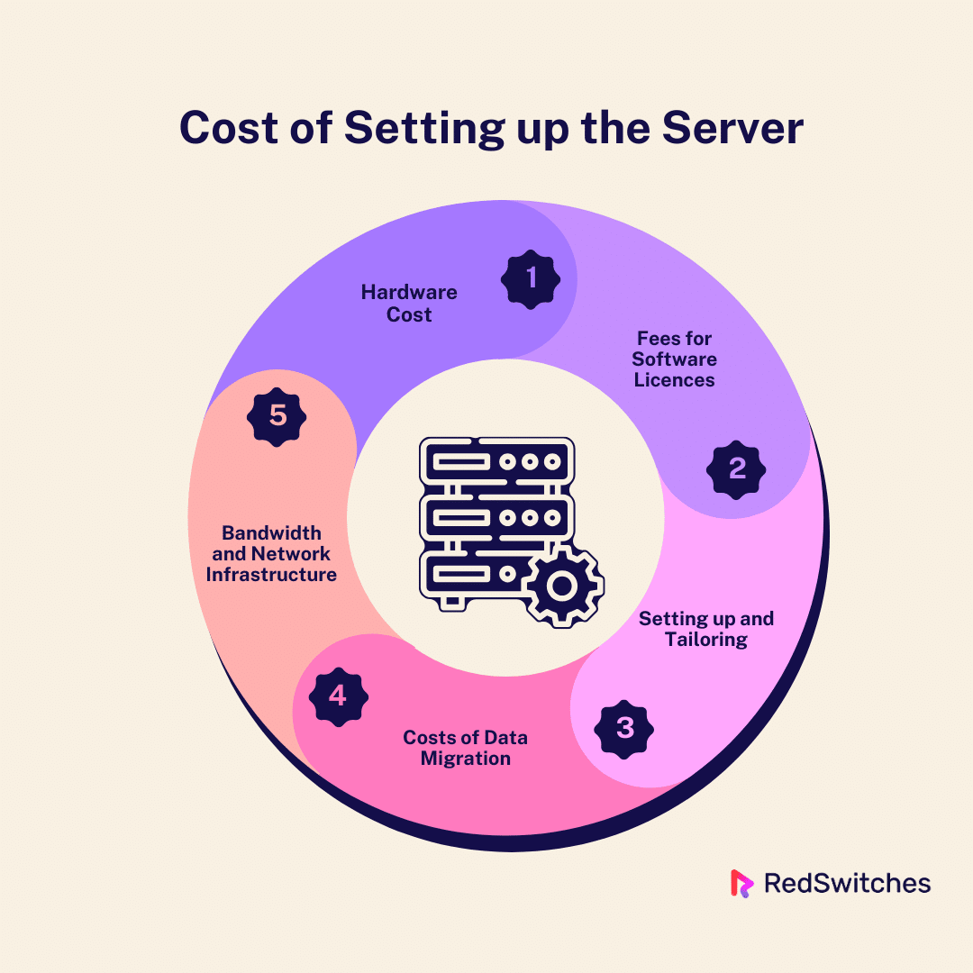 What is the Cost of Setting up the Server
