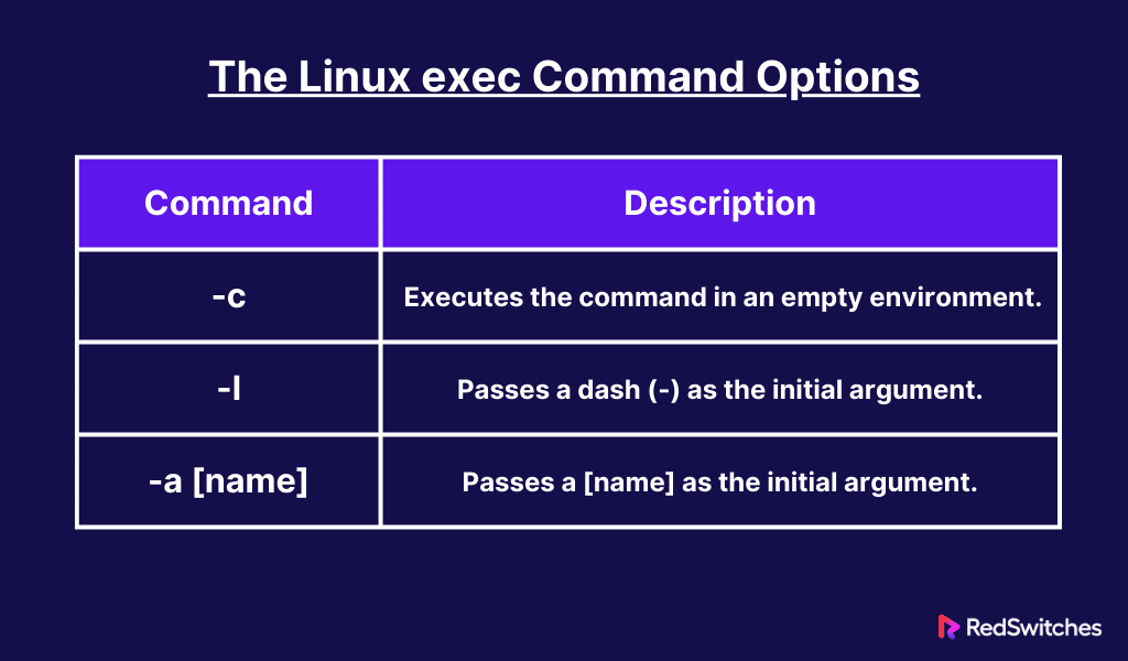 linux exec command options