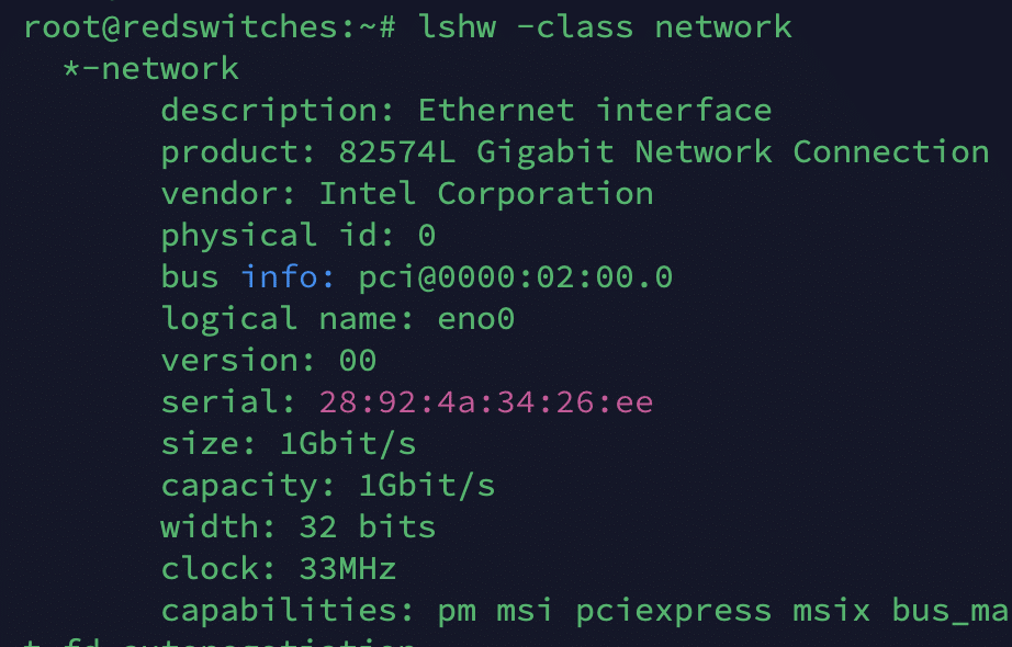 lshw -class network