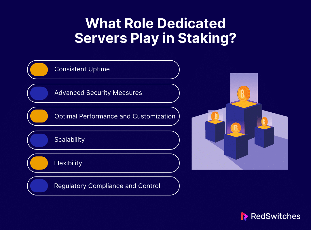 What Role Dedicated Servers Play in Staking?