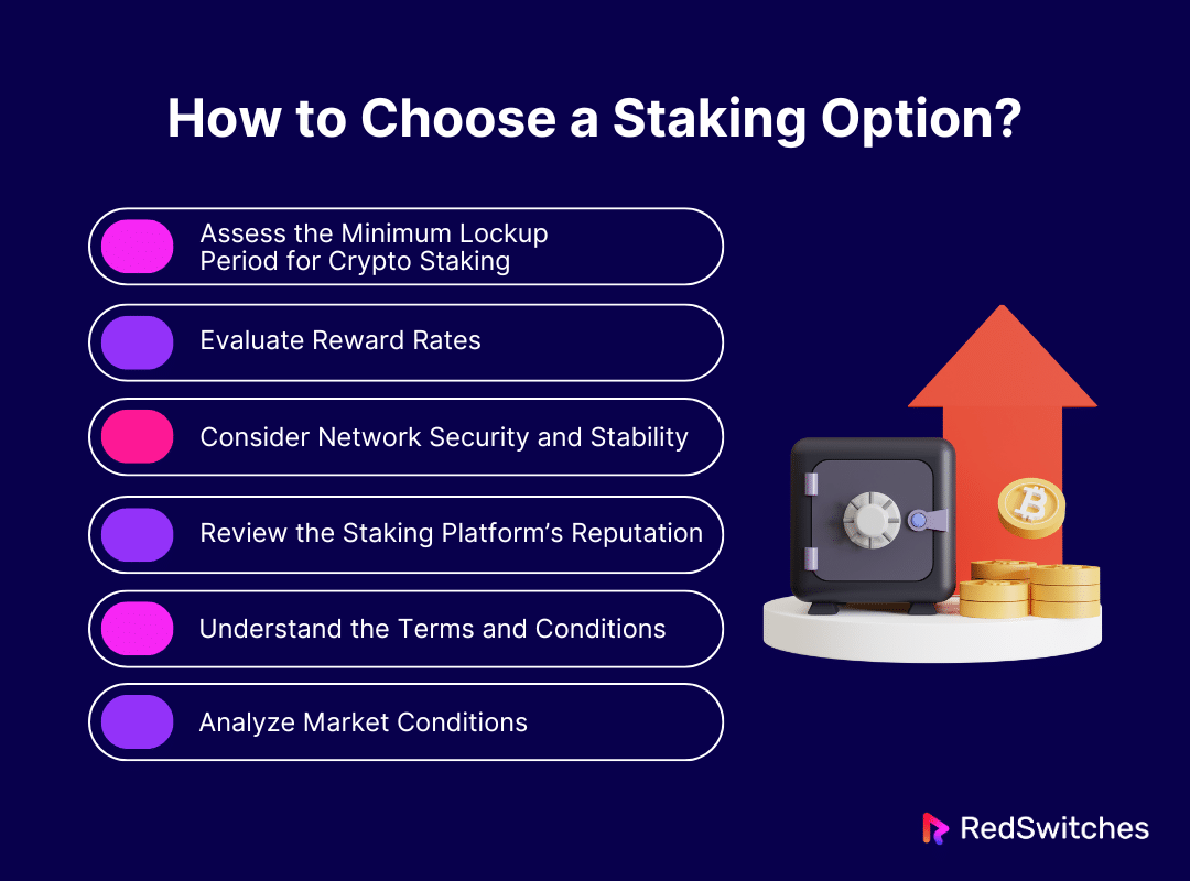 How to Choose a Staking Option?