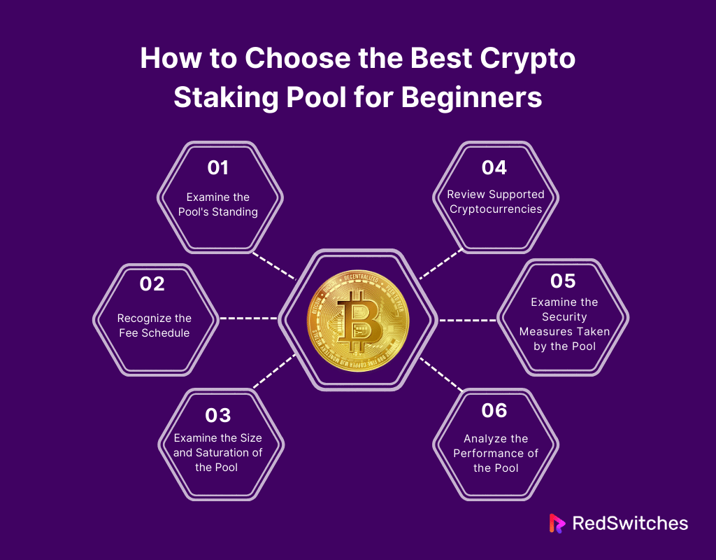 How to Choose the Best Crypto Staking Pool for Beginners