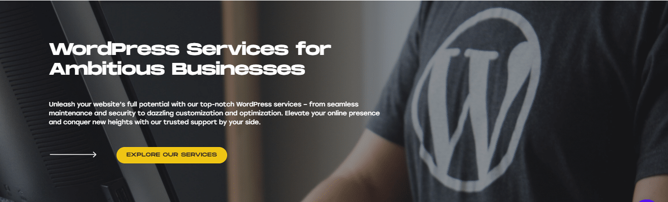 WP Services