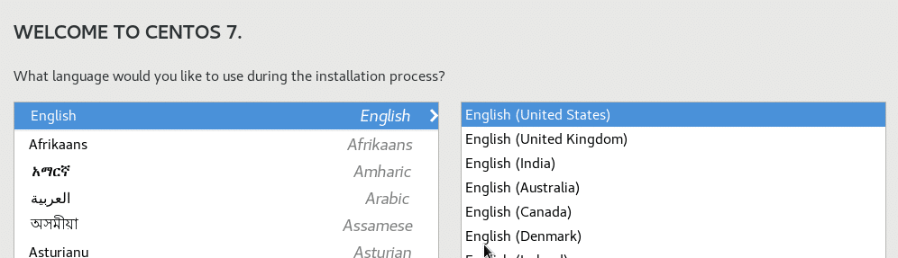 language selection