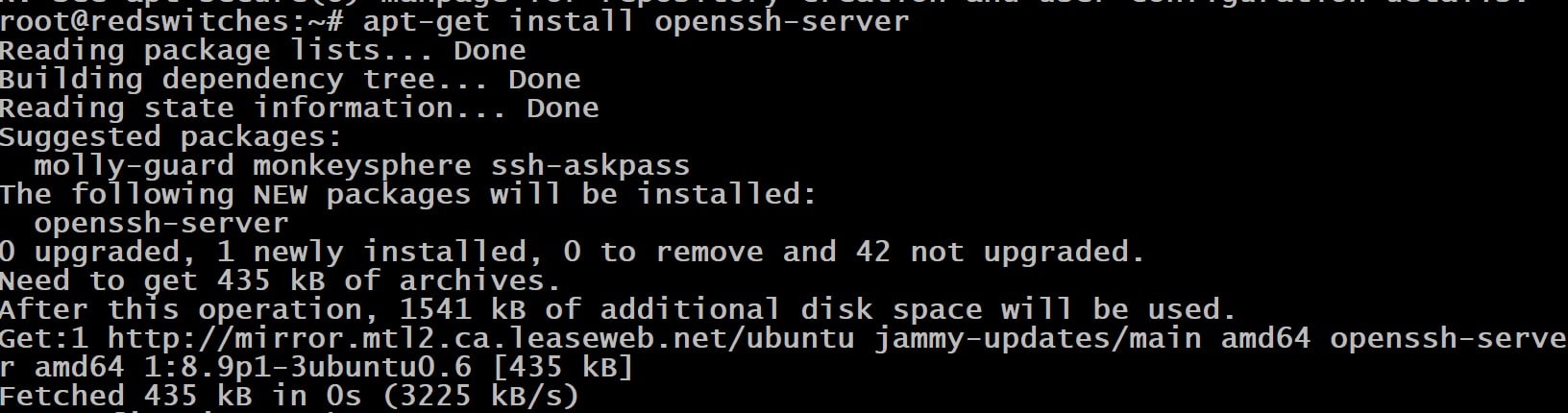 sudo apt-get install openssh-server