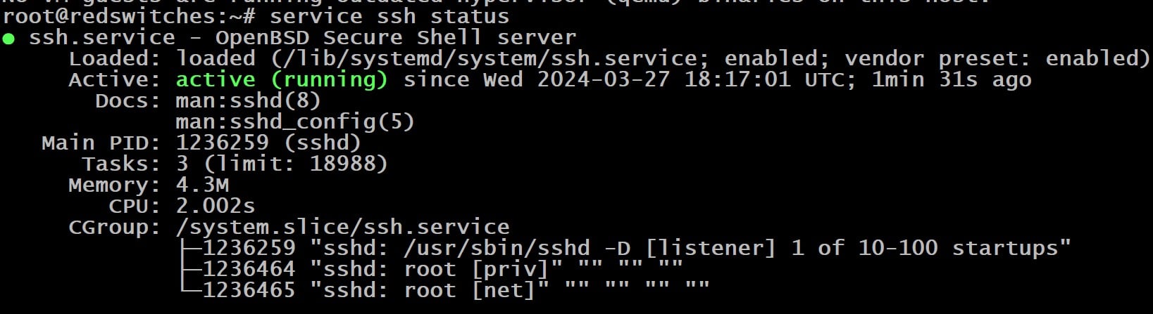 sudo service ssh status