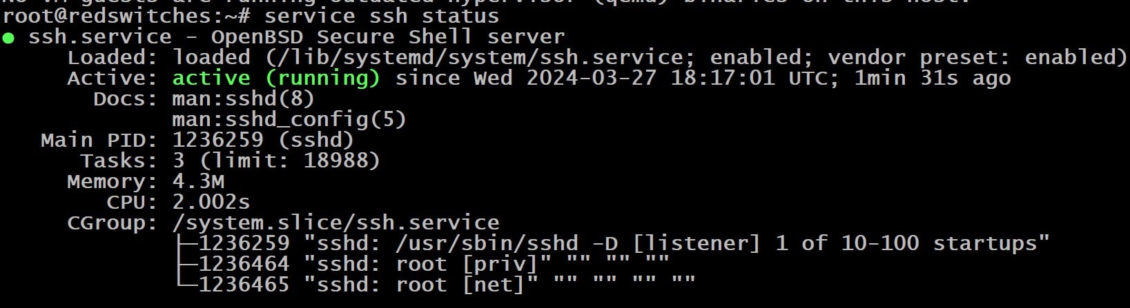 sudo service ssh status