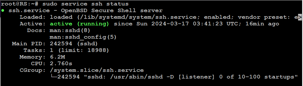 sudo service ssh status