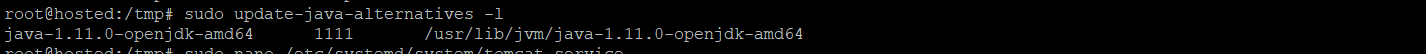 sudo update-java-alternatives -l