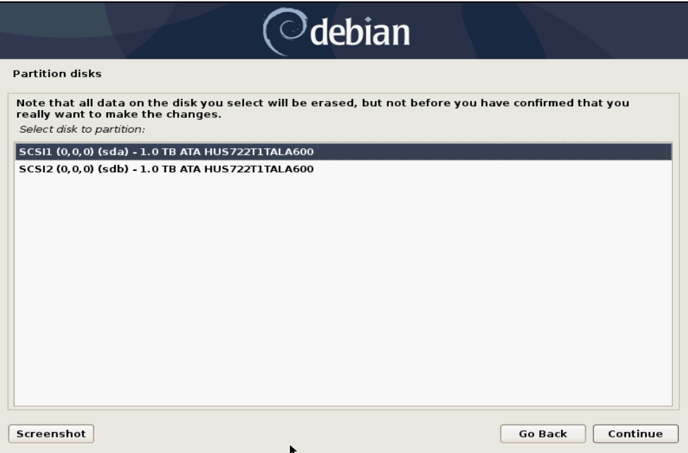 Disk Partitioning for Debian 10 (disk choose)