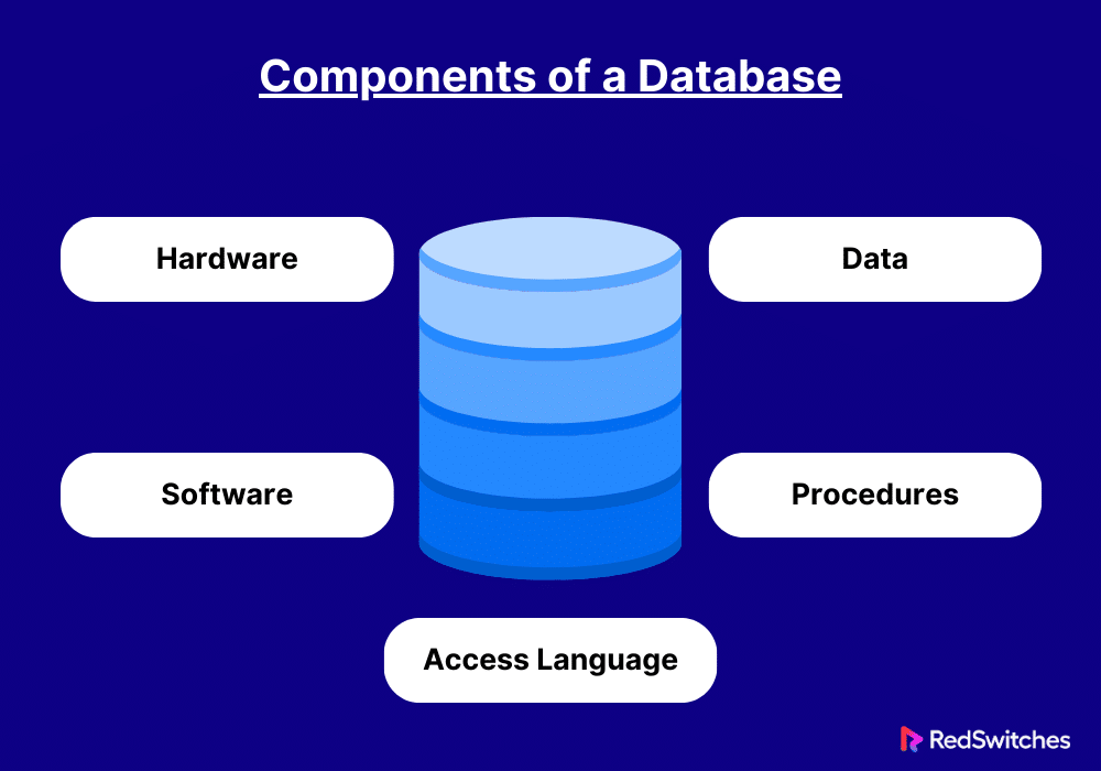 components of database