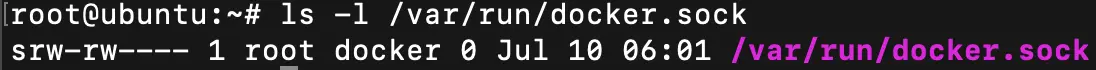 ls l var run docker sock